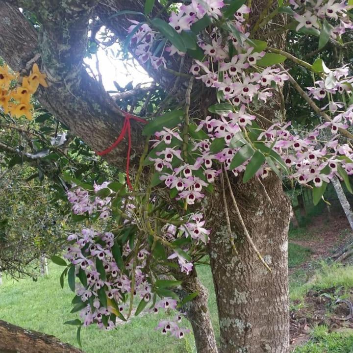 Linda Casa De Campo Viamão المظهر الخارجي الصورة